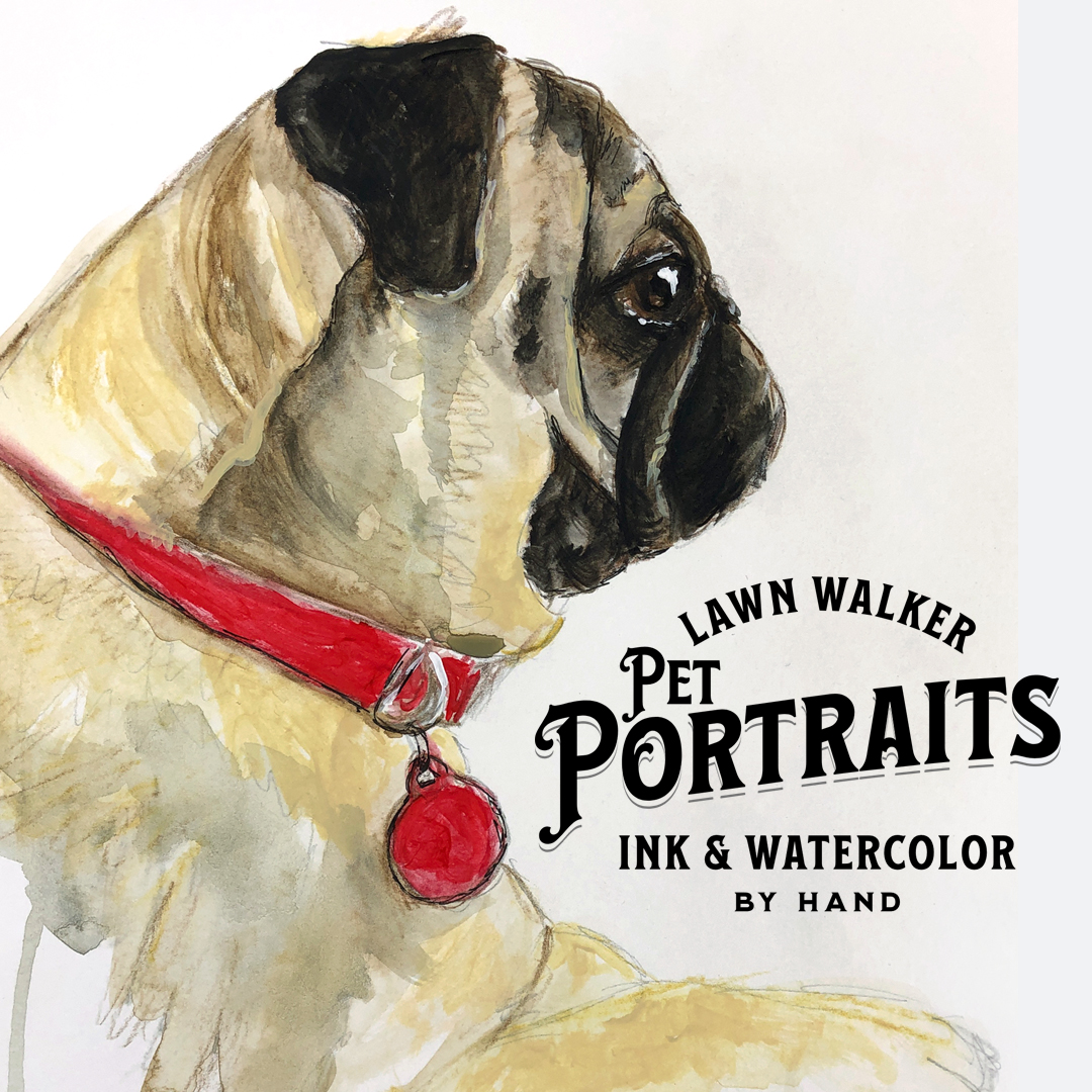 Pet Portraits